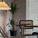 올리브하우스 이미지