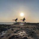 태비 월드컵 태권도장 이미지