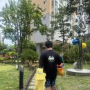 서진식품 | 김포 노라바바 내돈내산 후기｜2주 연속 방문한 이유