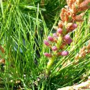 용방면사무소 앞 이미지