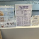 루나동물병원 이미지