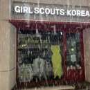 노랑고양이