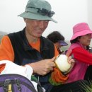 야생화답사 이미지