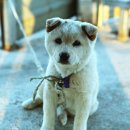 상무낚시터 이미지