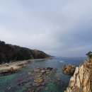 제비호식당 이미지