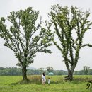 유찬목장 이미지