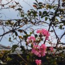 예향의 숲 | 전북 고창 치유의숲 제2센터 🌲 고창 당일치기 여행코스