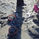 네오존 농장 이미지