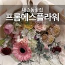 프롬에스플라워