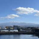 니도내도 이미지