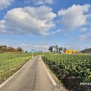 조은땅공인중개사사무소 이미지