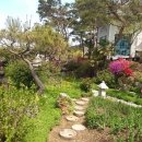 소라면 장척 이미지