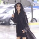 봄비패션 이미지
