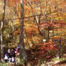 상원사샘터 이미지