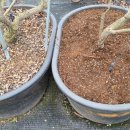 용토농장 이미지