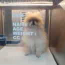 리더스동물병원 이미지