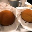 로티보이 이미지