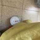 ok헌옷 Daum카페