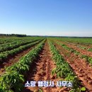 성문 행정사 사무소 이미지