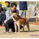 사또 - 강동구 올림픽로70길 52 | 사또