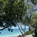 아일랜드 이미지