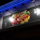 청춘연어 이미지