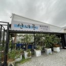 전국구 | 속초 청초수물회 vs 영종도 선녀풍 전국구 물회 맛집 내돈내산 비교 후기