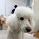 자율방범대 사무실 옆 | [단기알바] 용인 쿠팡 옆 프레시패킹 냉장 저온창고 알바 후기 (1) 사무실과 근무내용