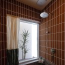 빠당빠당 이미지