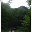 용천2 경로당 | [20130922]서울도심여행(시청역-광화문-통인시장-인왕산자락길-안산자락길-신촌역)을 다녀오다 - 2
