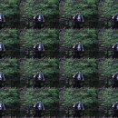 하산길 Daum카페