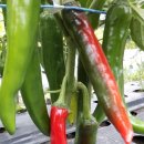 우슬농장 이미지