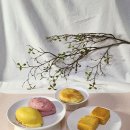 천윈파오촨 (Chen Yun Pao Chuan) | 레몬케이크 펑리수 태양병 기념품 🍋 솔직 후기 가격 시식 유통기한