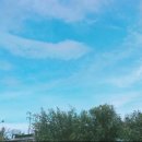 해피베이커리(Happy bakery) 이미지