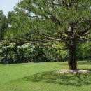 삼성골프장 이미지