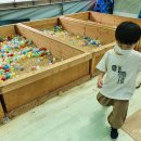 갱이농장 이미지