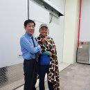 알프스얼음보석궁전 이미지