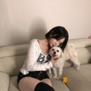 몬가 몬가 모몬가 중장인 유투바 이미지
