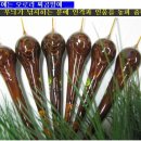 솔피 Daum카페