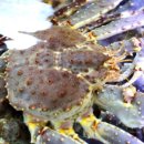 호남횟집 이미지