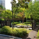 상대동-3 이미지