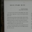 유림면