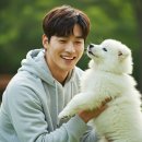 맘앤도그 | 강아지 호텔 추천 🐶 지역별 정리 [서울·경기·부산·지방]