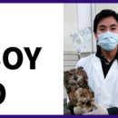 더 폼 스타켄넬 이미지