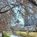 견탄교차로 이미지