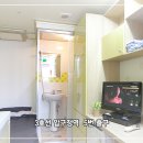 코쿤하우스 이미지