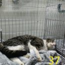 학익동물병원 이미지