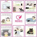 펫프렌즈 이미지