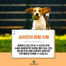 가평동물병원 이미지