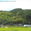 진골천 이미지